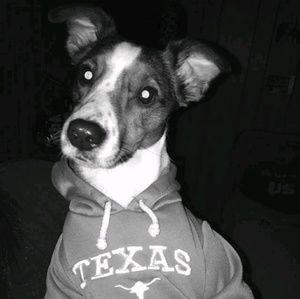 Meet your Posher, Enrique